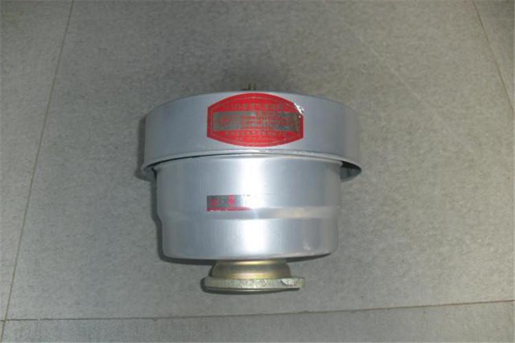 柴油机中欧(中国)